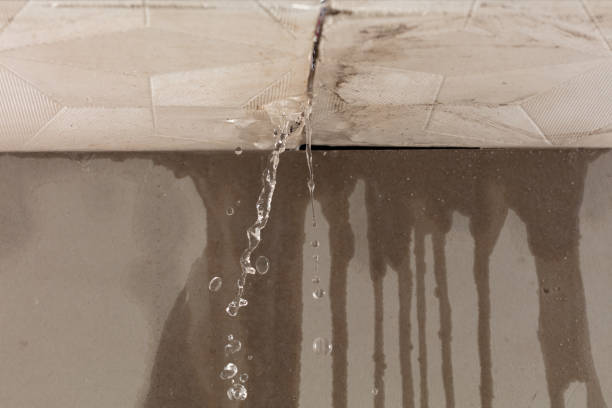 Professional Water Damage Inspection technician working in Denton, NE